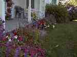 Photo Number 4