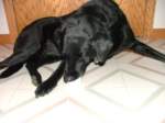 Photo Number 7
